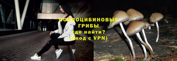 прущие грибы Алексин