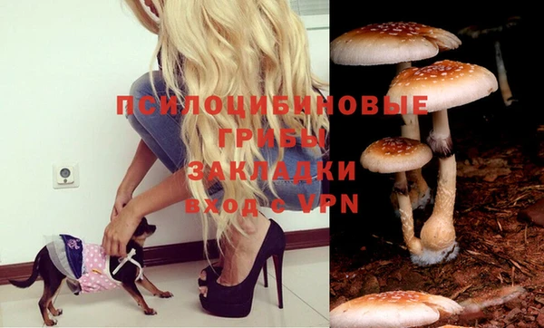 прущие грибы Алексин