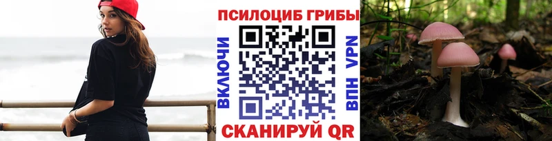Галлюциногенные грибы Psilocybine cubensis  Темрюк 