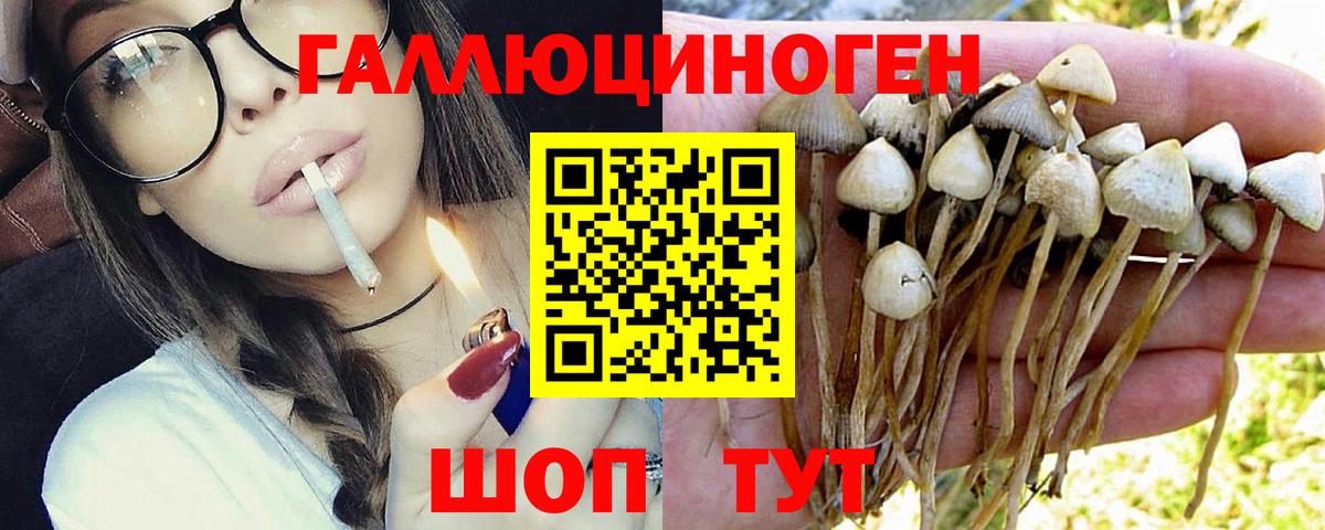 Псилоцибиновые грибы Magic Shrooms Темрюк