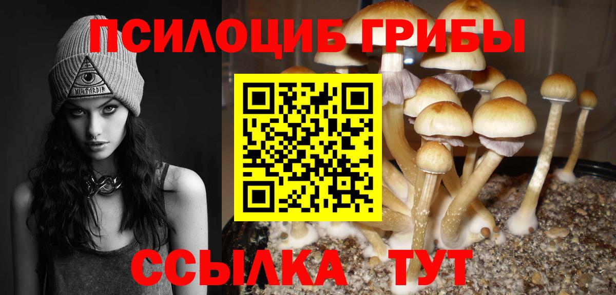 сколько стоит  Вход с VPN  Темрюк  Псилоцибиновые грибы Magic Shrooms  Псилоцибиновые грибы Cubensis 